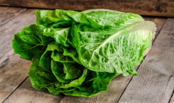 Romaine Lettuce